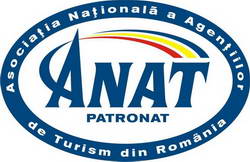 anat-1344627328